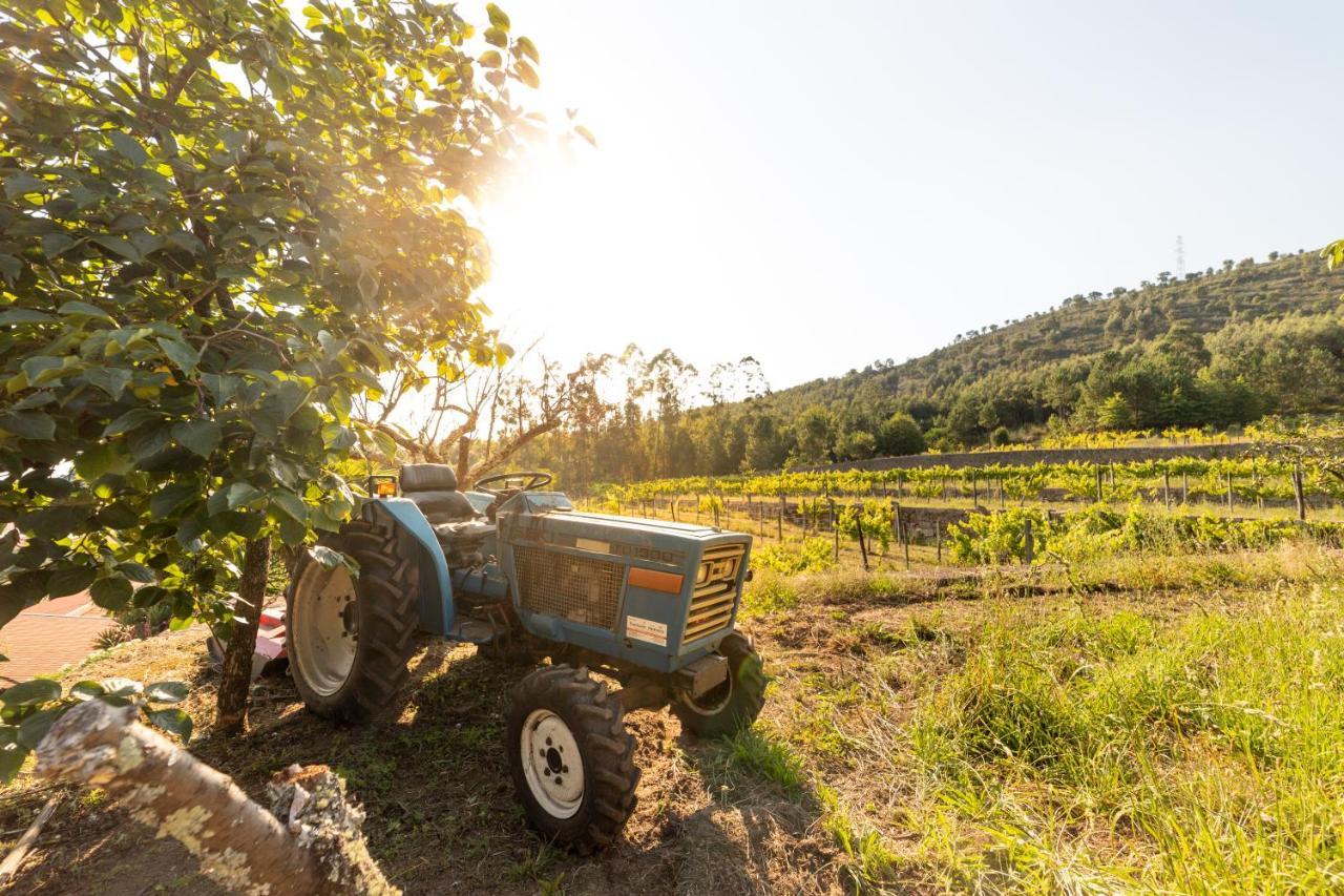 Barroselas Quinta Da Fonte - Agroturismo מראה חיצוני תמונה