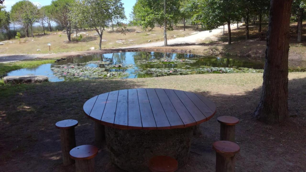 Barroselas Quinta Da Fonte - Agroturismo מראה חיצוני תמונה